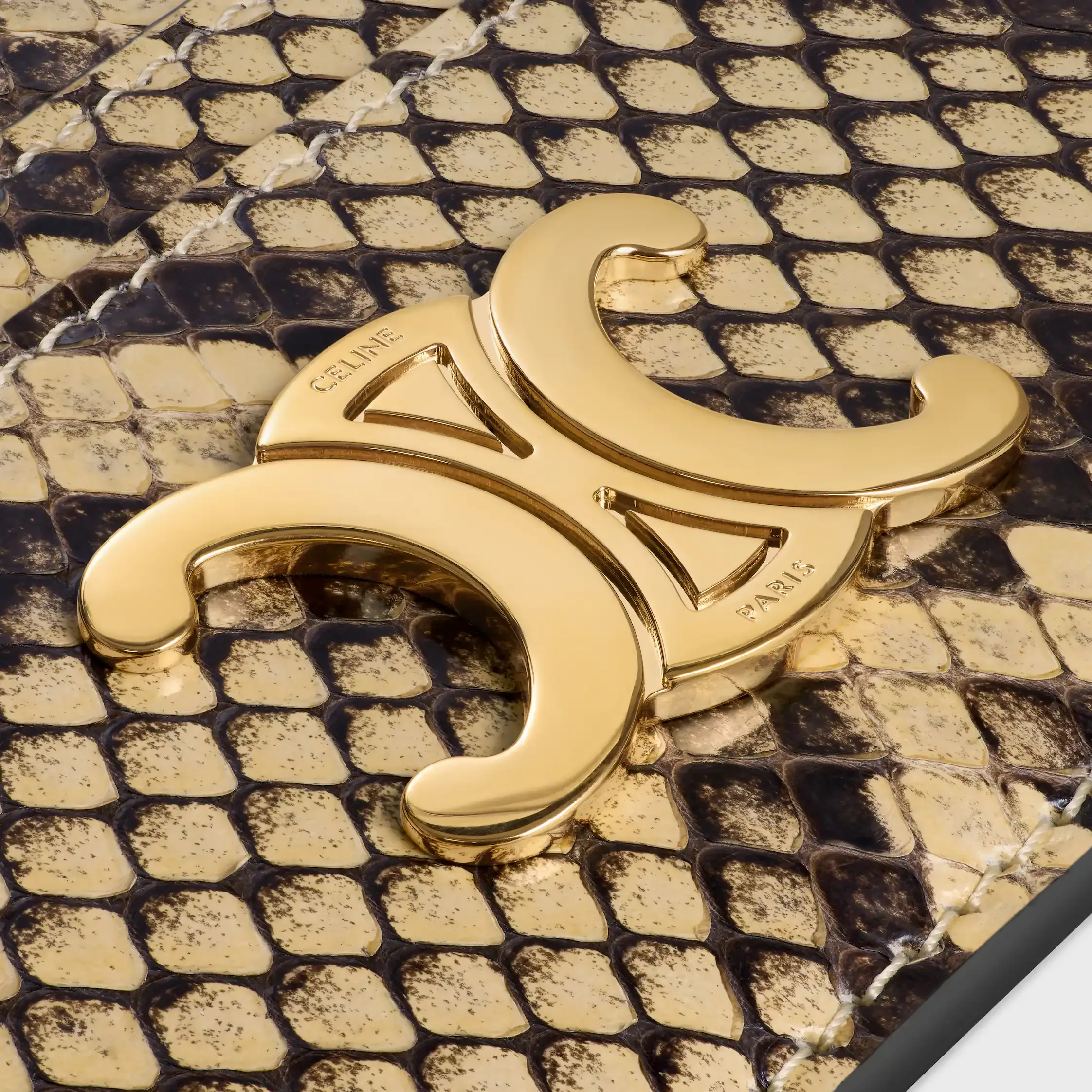 GELDKARTE TRIOMPHE IN Python