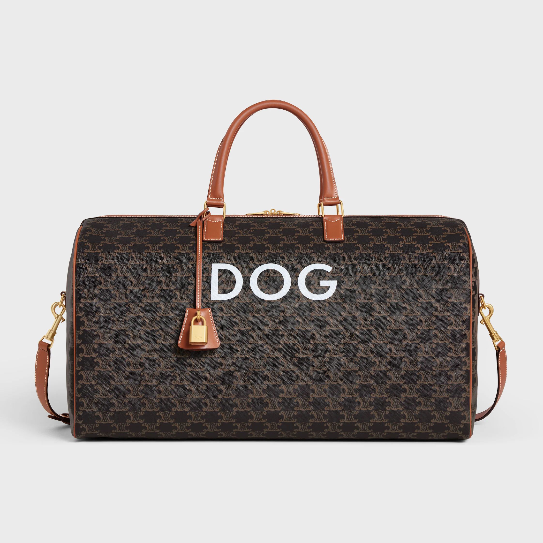 Reise 50 in Triomphe Canvas mit Hundemuster